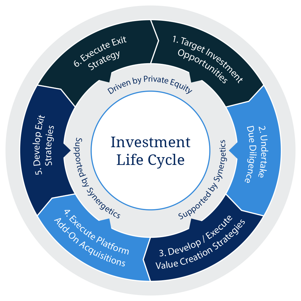 Private Equity Synergetics